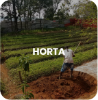 Horta