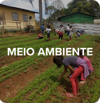 Meio ambiente